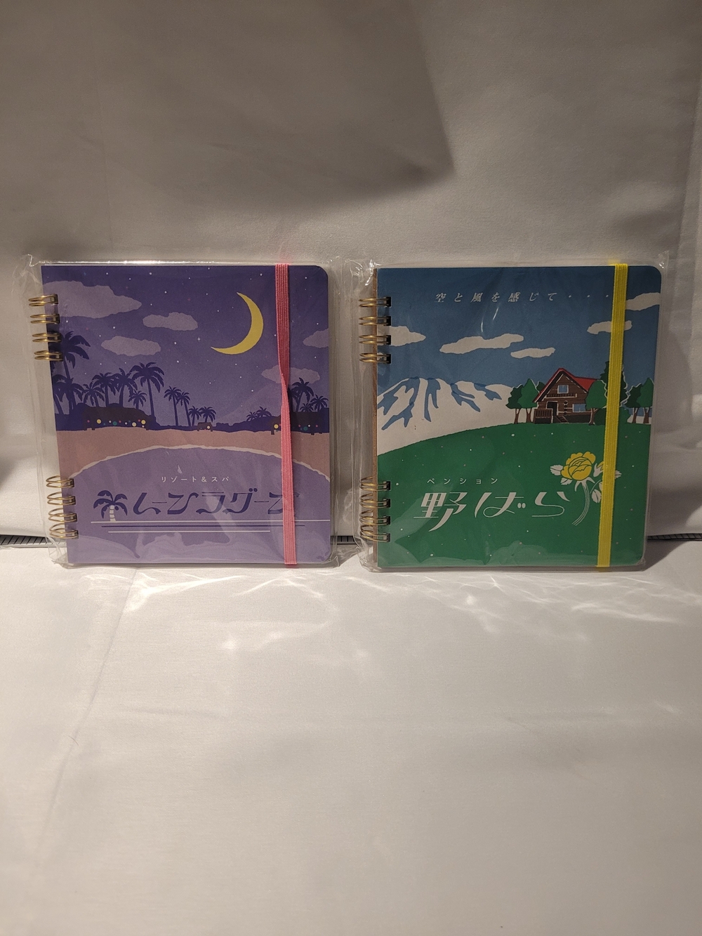 Rare Green Flash Japan "Retro Gnome" Square Ring Notebook Set (Set of 2)